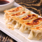 Handmade fried Gyoza / Dumpling (5 pieces)