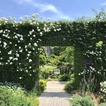 PRIMAVERA - 秘密の花園の様な素敵なエントランス
