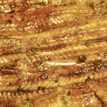 うなぎ 久保田 - 