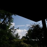 오시다테 사보우