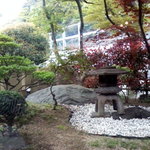 大谷茶屋 - お店の中から見えるお庭