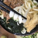 Tachibana Udon - 