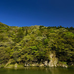 Ayuya - 鮎や駐車場から見た新緑の山