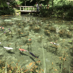 Ayuya - 鮎やからクルマで４分のモネの池