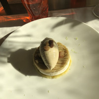 Benoit Alain Ducasse - 