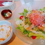 YEBISU BAR - 阿波尾鶏と彩り野菜のサラダうどん　セット全景