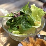 ホリホック - 