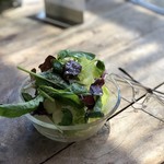 ホリホック - 