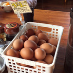 徳島ラーメン人生 - 生卵は無料です。