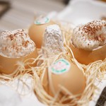 SUGALABO - 土佐ジロープリン