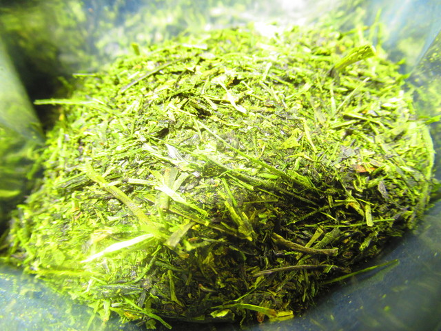 丹野園（タンノエン） - 寒河江（その他）の写真