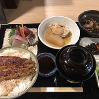 うなぎ 目白ぞろ芽 - 