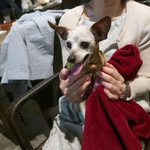 恵比寿 箸庵 - ピョンのテラス・デビュー