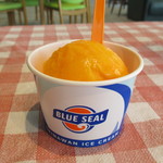 ブルーシールカフェ - パッションフルーツ ソルベ