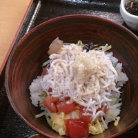 板前心 菊うら - しらすおろし海鮮丼。