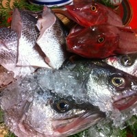 魚めし 竹亭 - 本日のお魚