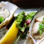 [Early summer only] 2 shell Oyster ~