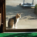 オランダ亭 - 【2011.12.　初訪】　やっぱりたそがれニャァ兵衛