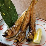Grilled Hatahata from Akita (3 fish)