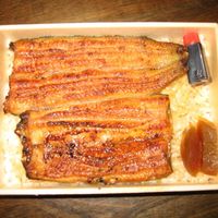 鰻割烹 伊豆栄 本店 - 