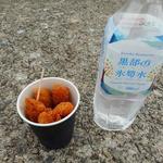 Hotaruikamijiamumichinoekiwebupakunamerikawa - 揚げたてサクサク ほたるいかフライ350円