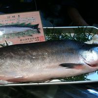 う越貞 - 鮭児 拡大すると顔見えます