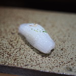 鮨匠 のむら - アオリイカ