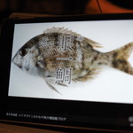 鮨匠 のむら - めいちだい