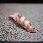 鮨匠 のむら - 車海老