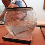 青華こばやし - 活き稚鮎