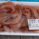 おわせ お魚いちば おとと - 購入商品。ガスえび。魚市場おとと(三重県尾鷲市)食彩品館.jp撮影