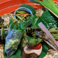 本湖月 -  本湖月 -