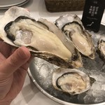 OysterTable - 