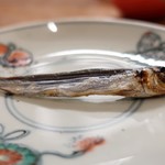 大八 - めざし(元々は５匹かな？)