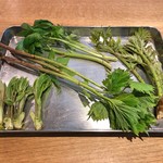 スガハラ - 付け合わせ用の山菜（こしあぶら + あいこ + しどけ（もみじがさ） + たらの芽）