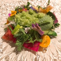 オルト - 菜園 ：野菜は２１種類、ハーブが5種類、エディブルフラワーが２種類と多彩。 真ん中にはミント風味のビネガーのゼリーが敷かれ、これにキュウリの酸味を効かせたシャーベットを直前に載せてドレッシングに。 食べる場所で味わいの変わるサラダです。