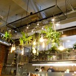 THE_B - グリーンがちりばめられた空間。