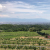 サントリー　登美の丘ワイナリー　
