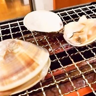 産地直送の「ハマグリの浜焼き」がイチオシ！季節の日替わりも◎