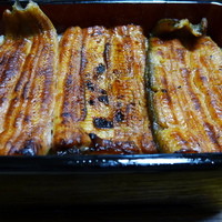 かぐら坂 志満金 - うな重　雅