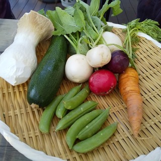 ファーマーズバーベキュー_1