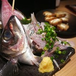 野毛 すし 釣りきん - 