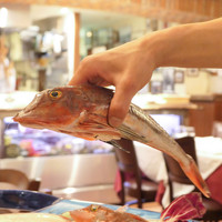 Ristorante IL FIGO INGORDO - 