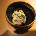 TTOAHISU - ヤイトガツオ