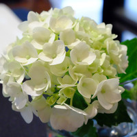 ラ・ロシェル 山王 - 