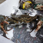 一条流がんこ総本家分家四谷荒木町 - バリバリ戦闘体勢のマングローブ蟹