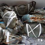 一条流がんこ総本家分家四谷荒木町 - マングローブ蟹