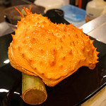 レンゲ - 長井産 イバラガニ