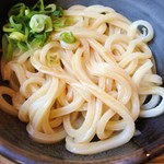 手打うどん 丸亀渡辺 - しょうゆうどん