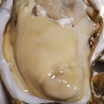 ヤマタくん - 牡蠣